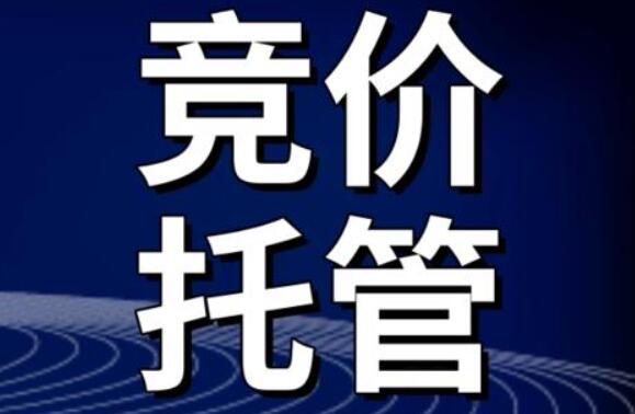 選（xuǎn）擇競價托管（guǎn）公司時應該注意哪些問題